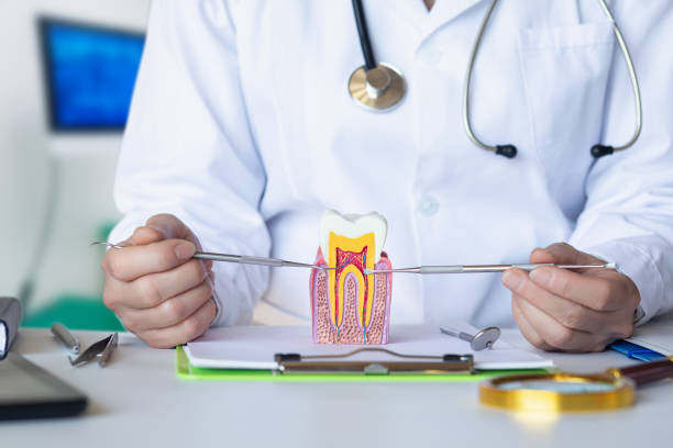 Best Same-Day Emergency Dental Services in Sultana, CA